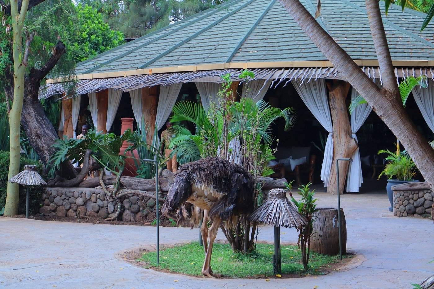 Kibo Safari Camp - Amboseli hotel view 3